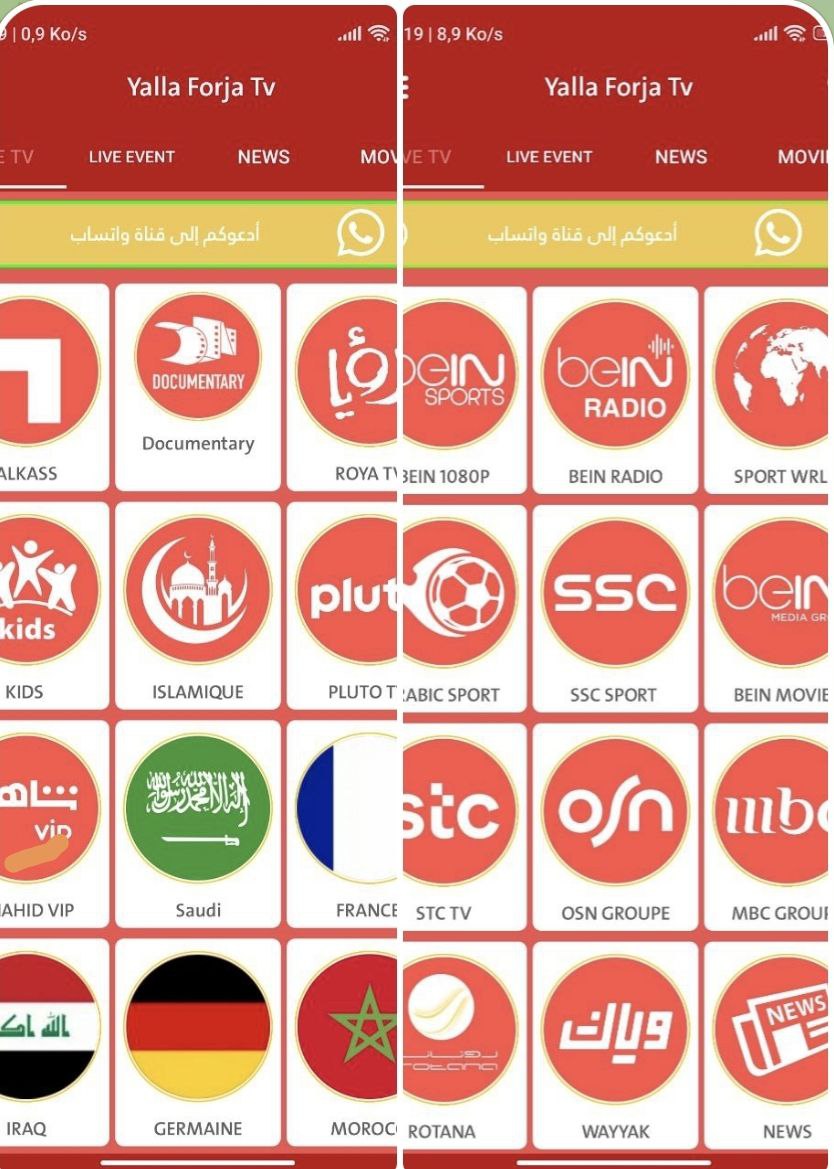 Yalla Forja TV
