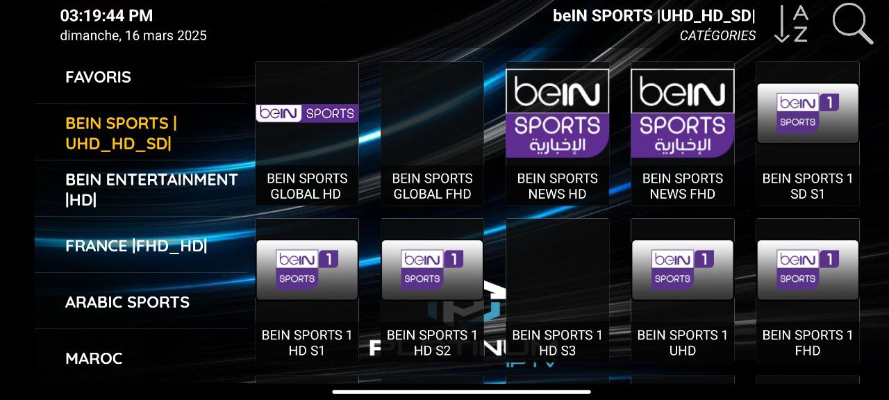 القنوات والأفلام والبرامج التلفزيونية المتاحة في تطبيق Platinum IPTV.