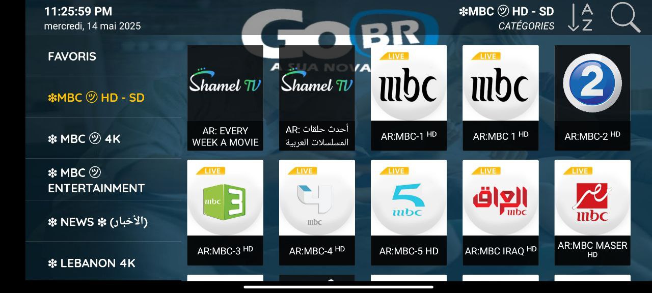 تطبيق GO BR TV